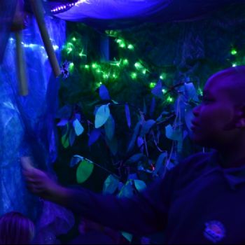 Enchanted Forest