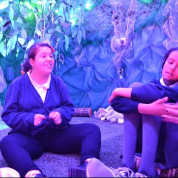 Enchanted Forest
