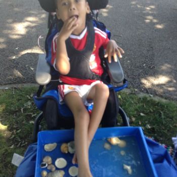 Picnic5